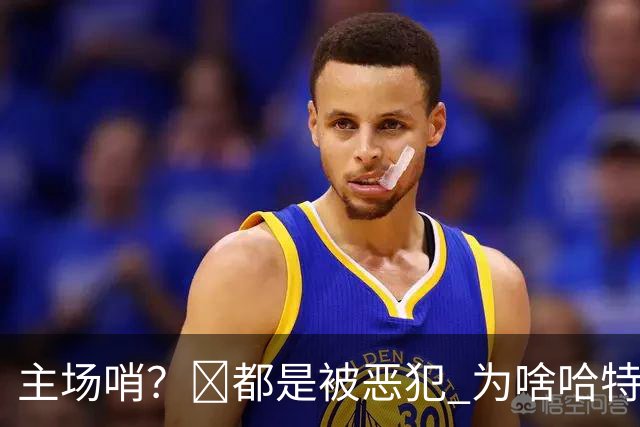 主场哨？🧠都是被恶犯 为啥哈特罚一个 文班罚两个？